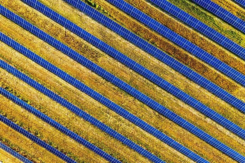 Centrale solaire au sol